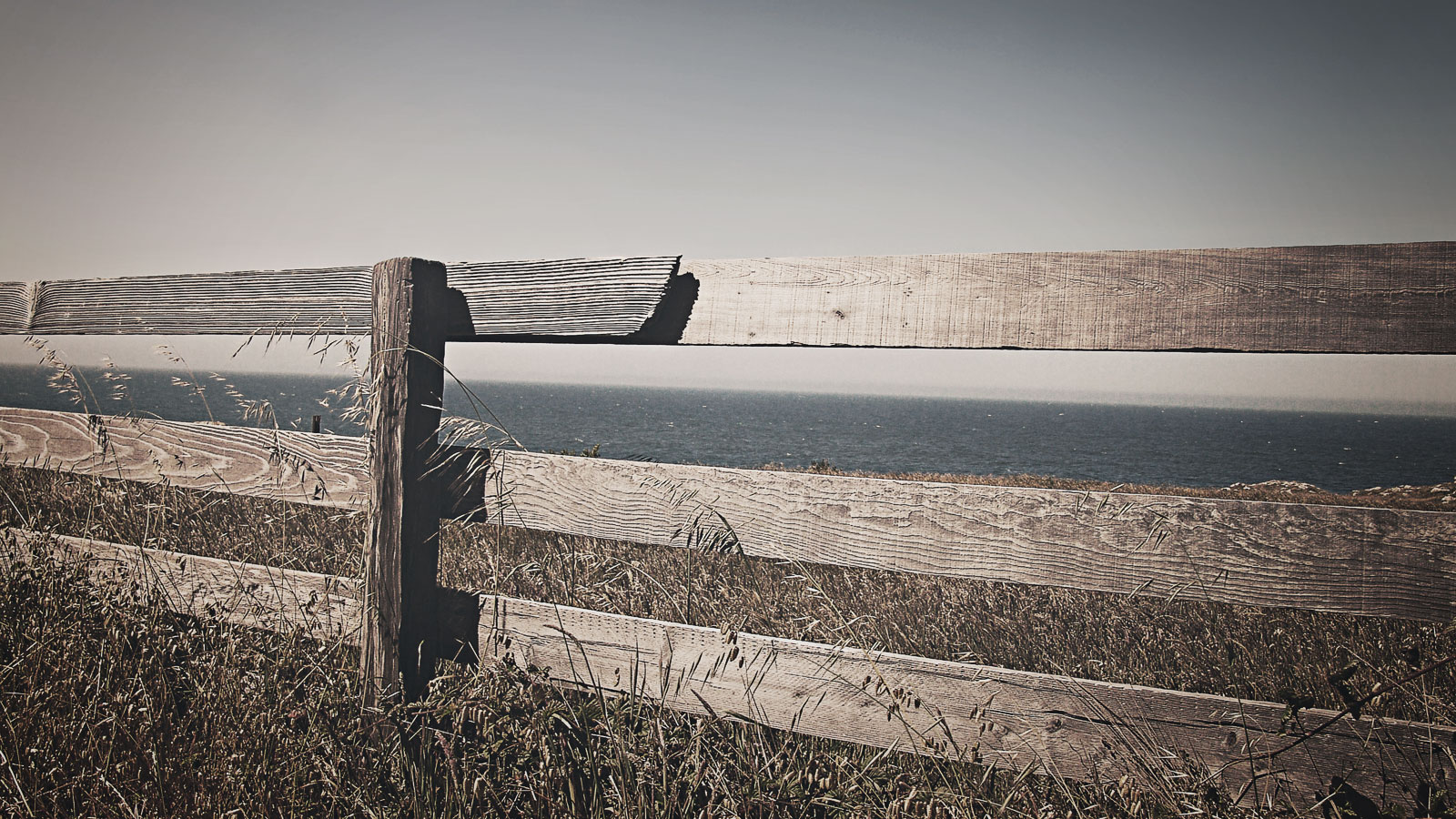 fence