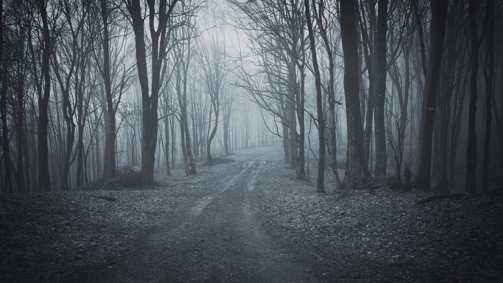 woods