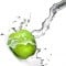iStock_000008622967