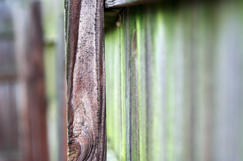Abstract Photo #1
