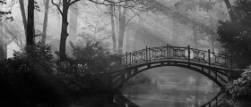 blog-3