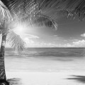 photo-6