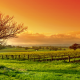 landscapes-1