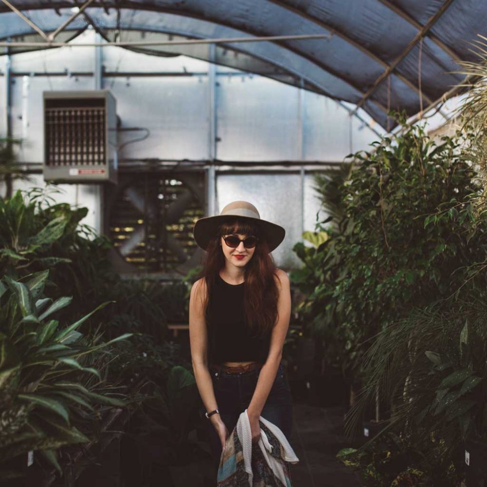 How to Get Started with Greenhouse Gardening